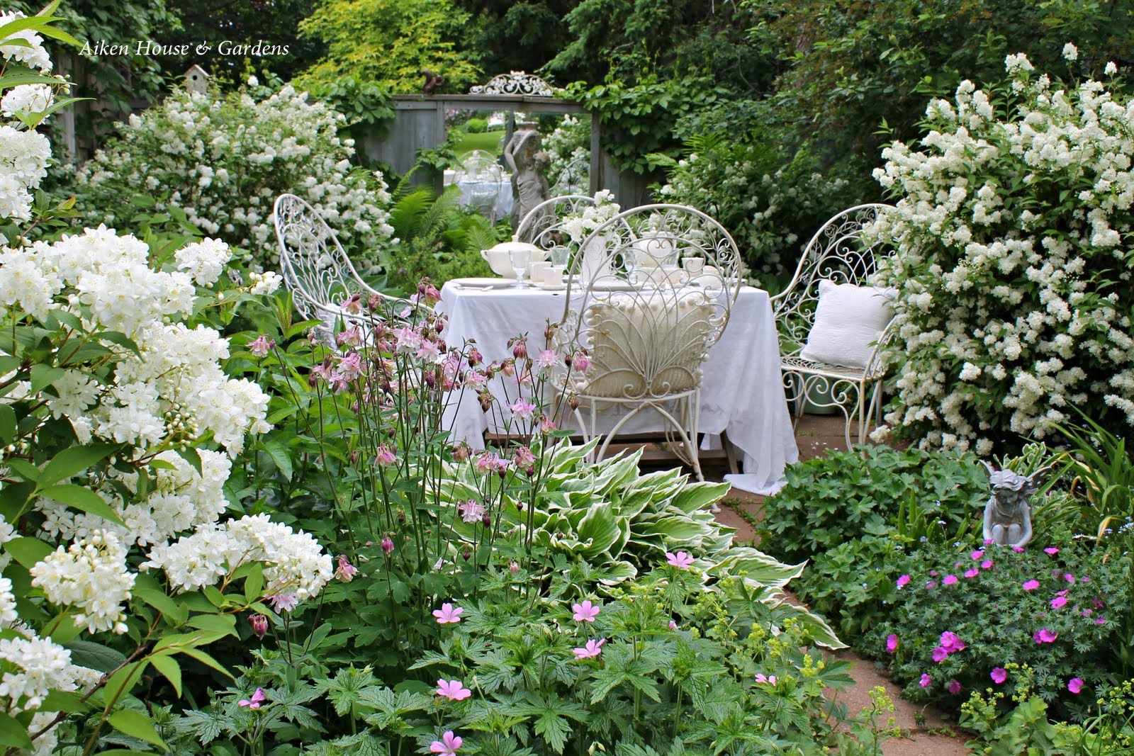 Outdoor & Garden
